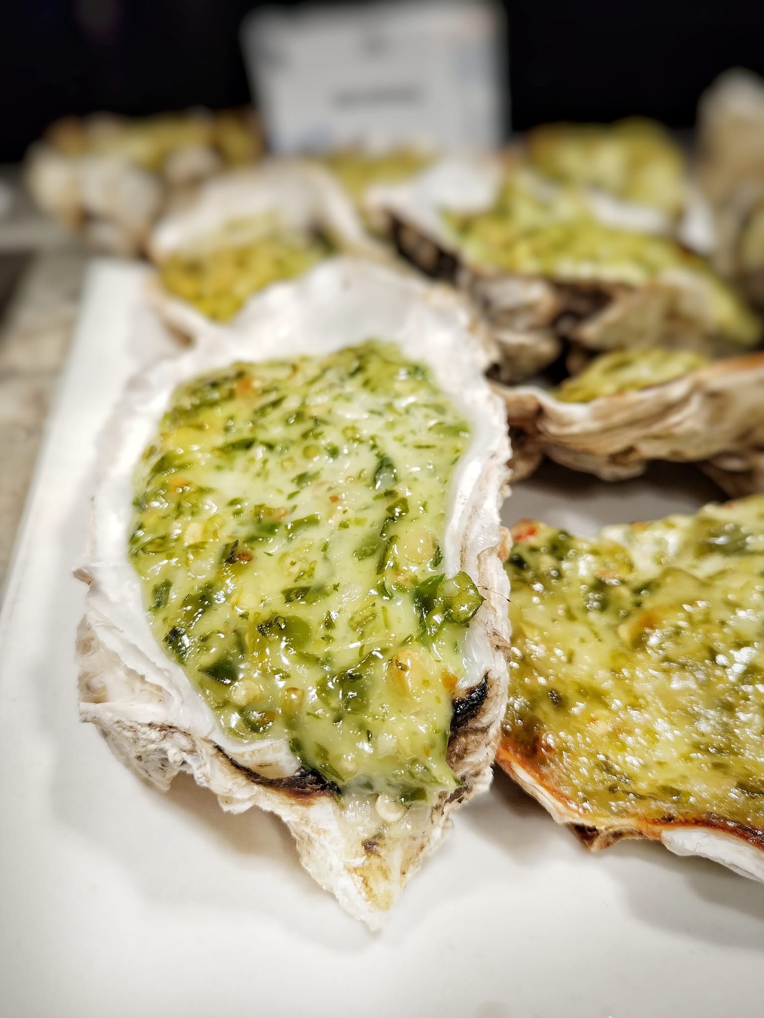 Oysters